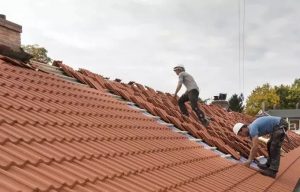 Limpieza de los tejados 