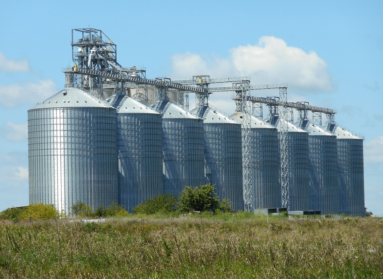 Limpieza de silos