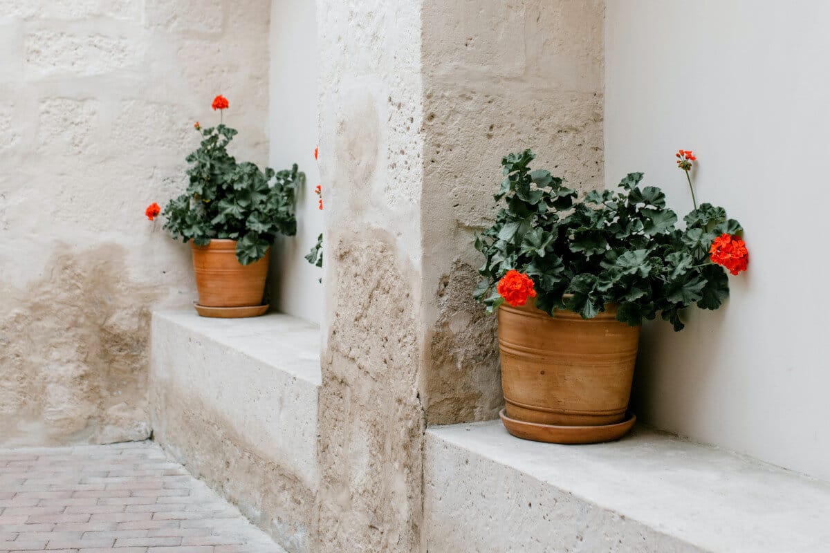 ¿Cuáles son los principales desperfectos más comunes en las fachadas?