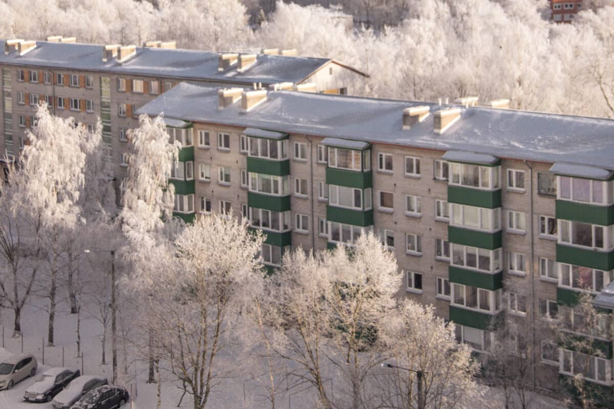 ¿Qué hacer para lidiar con el viento en invierno?