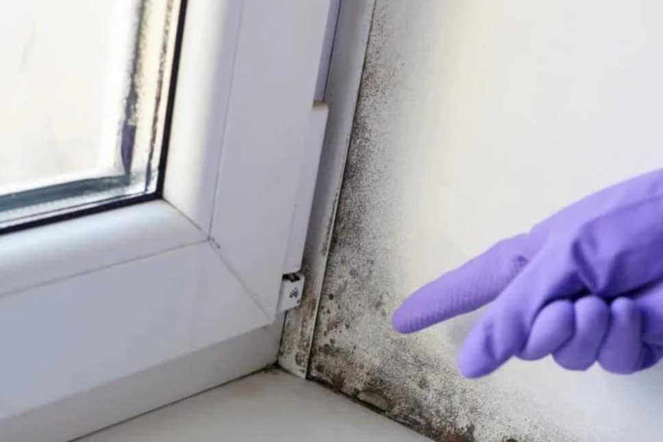 ¿Qué hacer para prevenir las humedades en casa?