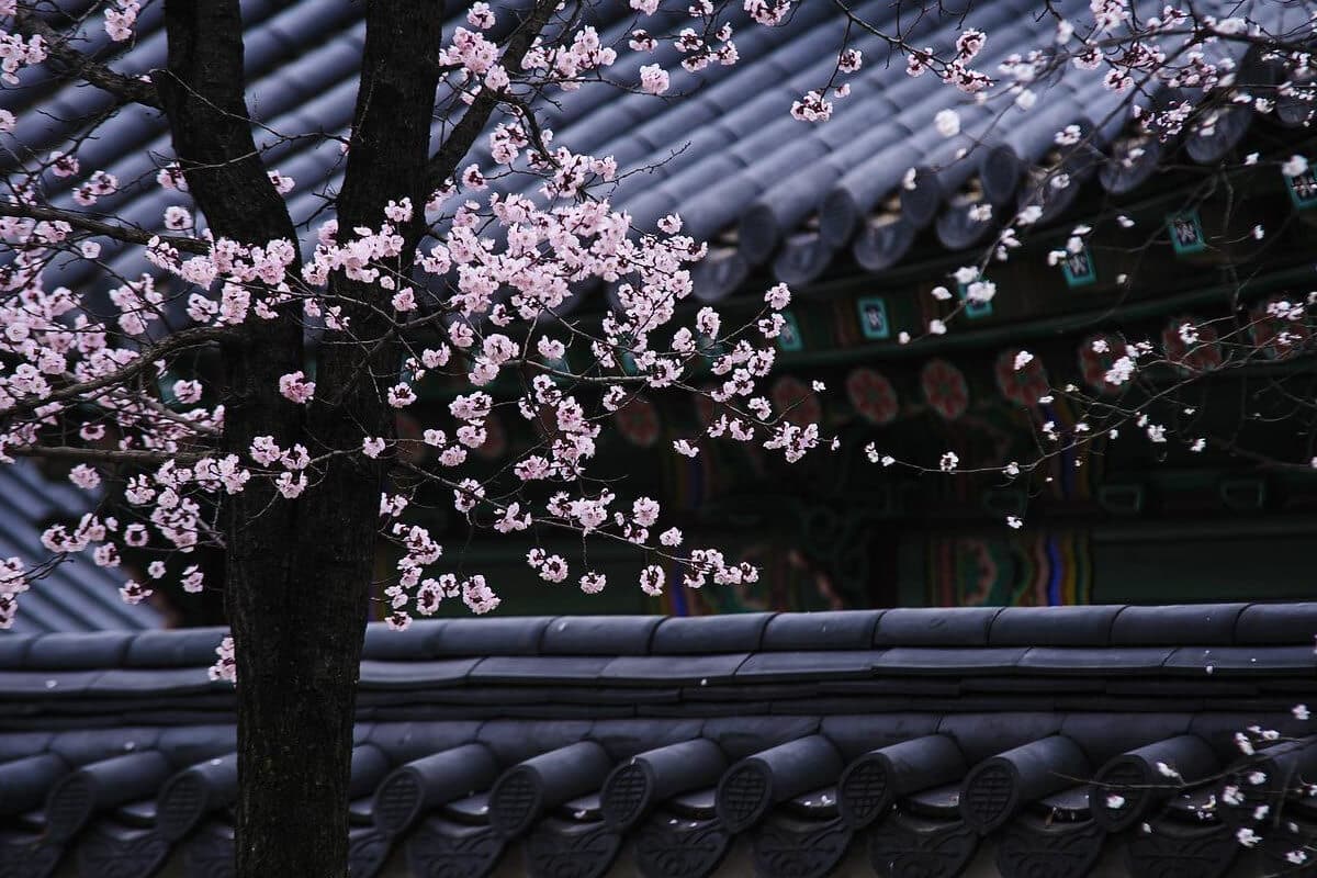 ¿Qué tener en cuenta para el mantenimiento y la reparación de cubiertas?