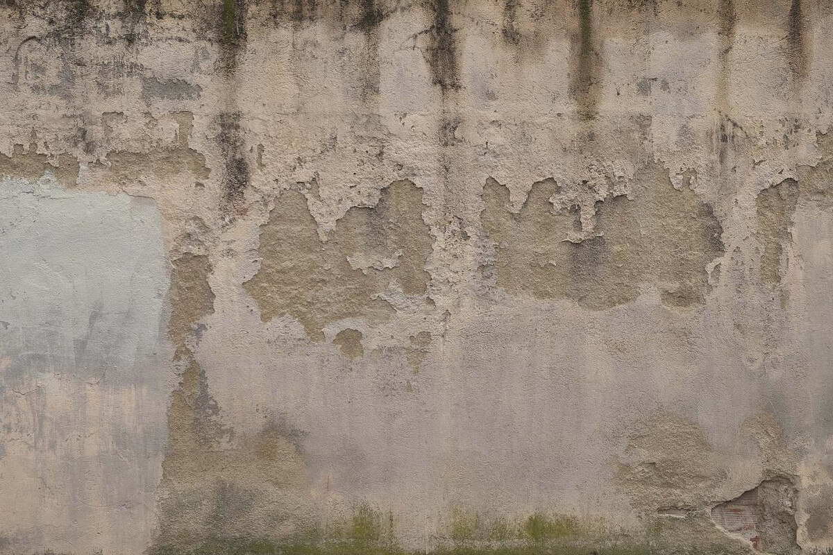 Cómo quitar humedades de la pared