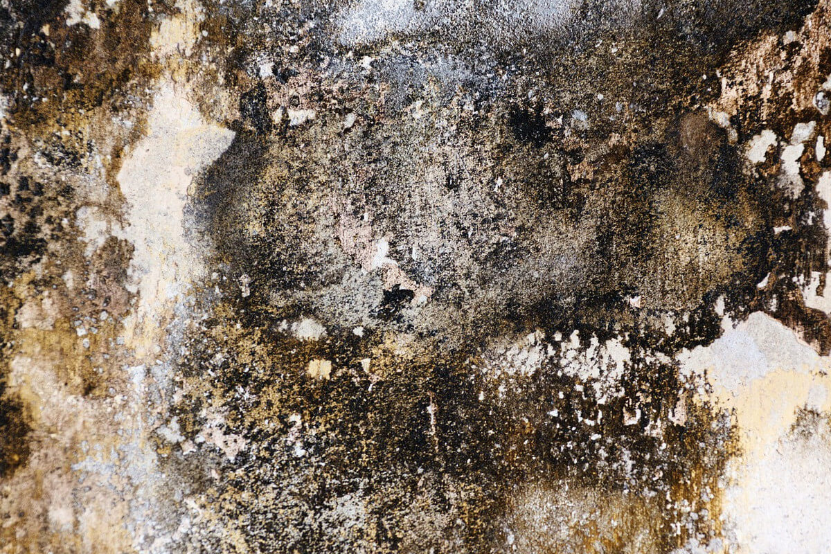 Pasos para evitar las humedades de la pared