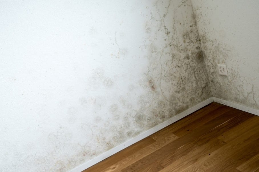 Puedes aprovechar cada espacio en tu casa