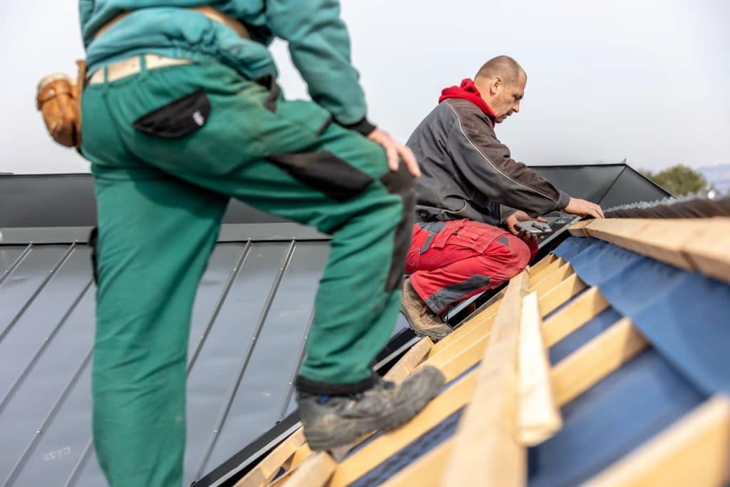 profesionales de rehabilitación integral tejado